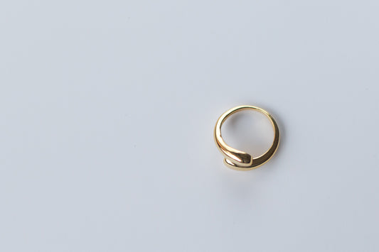 Salt Ring