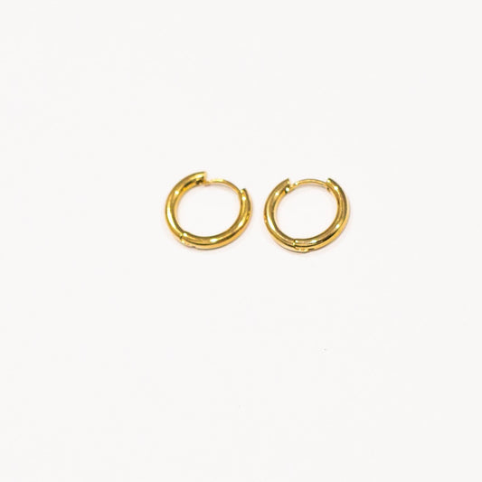 Nami Earrings